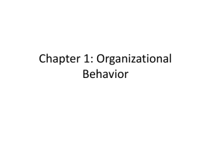 Chapter 1: Organizational Brhavior