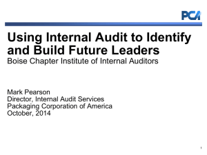 Internal Audit and Leaders