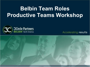 Example Report - Belbin North America / Team Roles