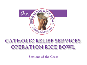presentation - CRS Rice Bowl