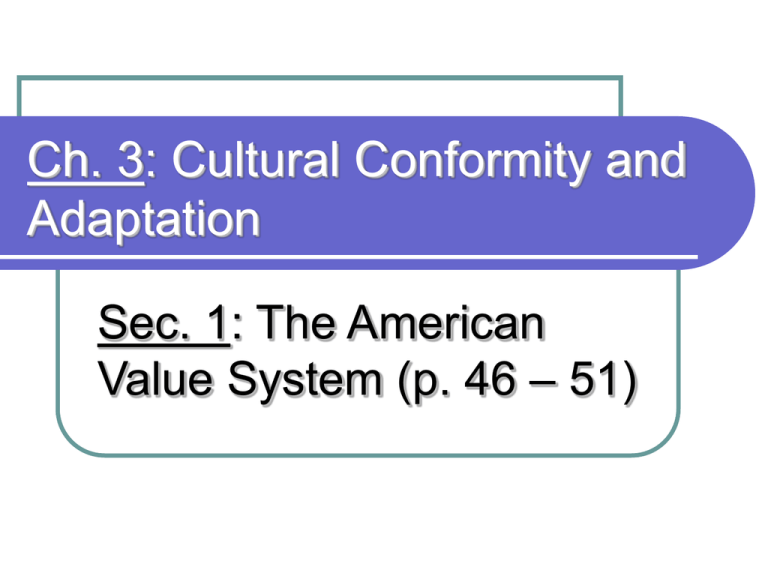 Identify describe Each Of The 7 Traditional American Values