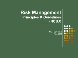 Risk Management Principles & Guidelines (NCBJ)
