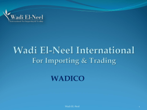 Wadi El-Neel International Company for Importing and