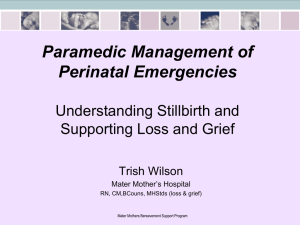 QAS-Perinatal-Worksh.. - Prehospital Research Support Site