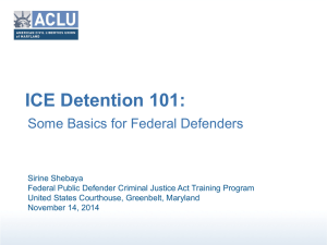 ICE Detention 101