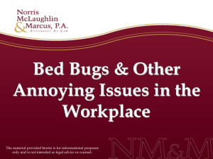 Bed Bugs and Other Annoying Issues in the Workplace