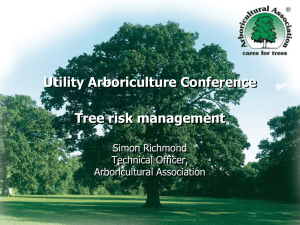 NTSG - Arboricultural Association