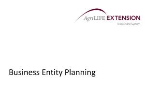 Business Entity Planning