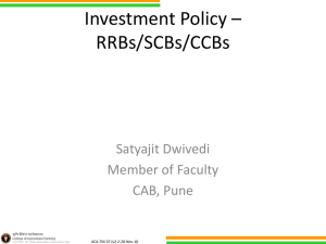 investment policy guidelines