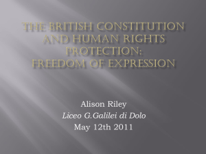 The British constitution and human rights protection