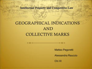 GEOGRAPHICAL INDICATIONS AND COLLECTIVE MARKS