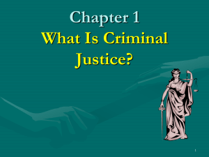 Criminal Justice: A Brief Introduction