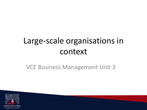 Large-scale organisations in context