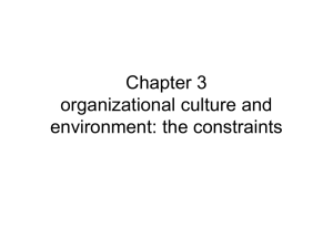 Chapter 3 organizational culture and environment: the constraints