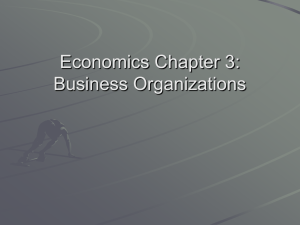 Economics Chapter 3: Business Organizations