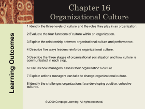 Organizational Culture Levels