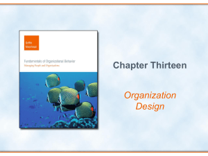 Chapter Thirteen Organization Design