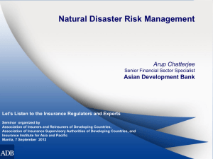 Natural Disaster Risk Manangement