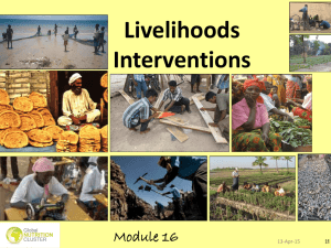 Module 16: Livelihood Interventions