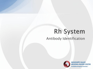 Rh System Antibodies