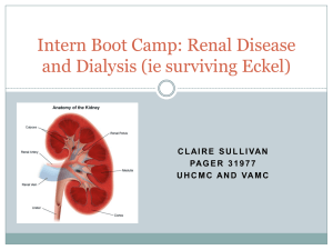 Intern Boot Camp: Dialysis