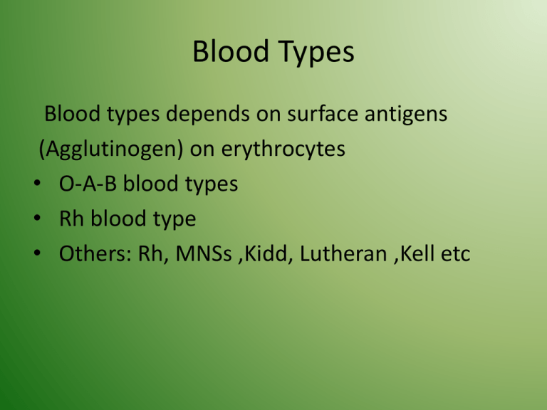 Blood Types Ppt