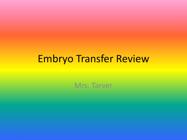 embryo-transfer-review