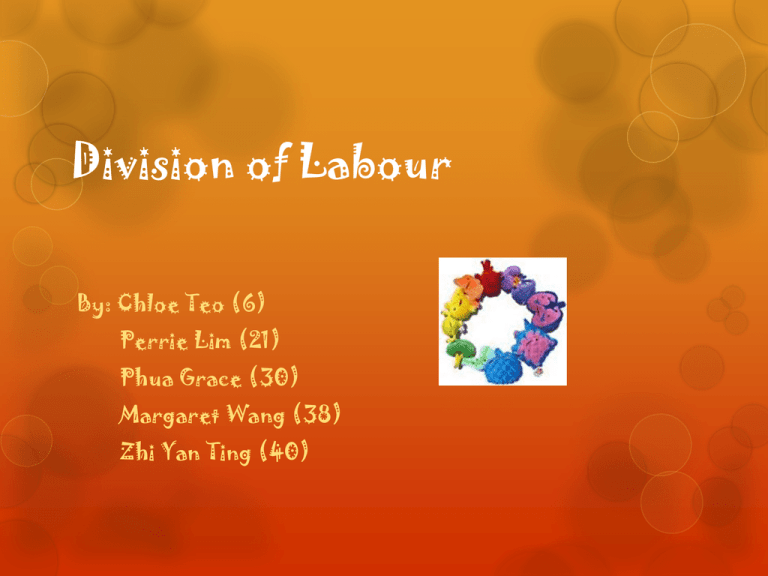 Division Of Labour Divisionoflabours1d2012