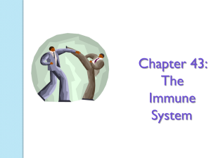 Chapter 43 - The Immune System