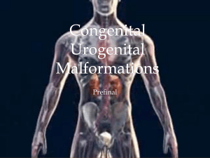 Congenital Urogenital Malformations