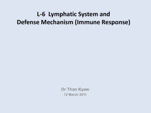 L-6 Lymphatic System