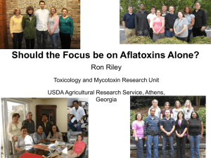 Aflatoxin (AFB) and Fumonisin (FB)