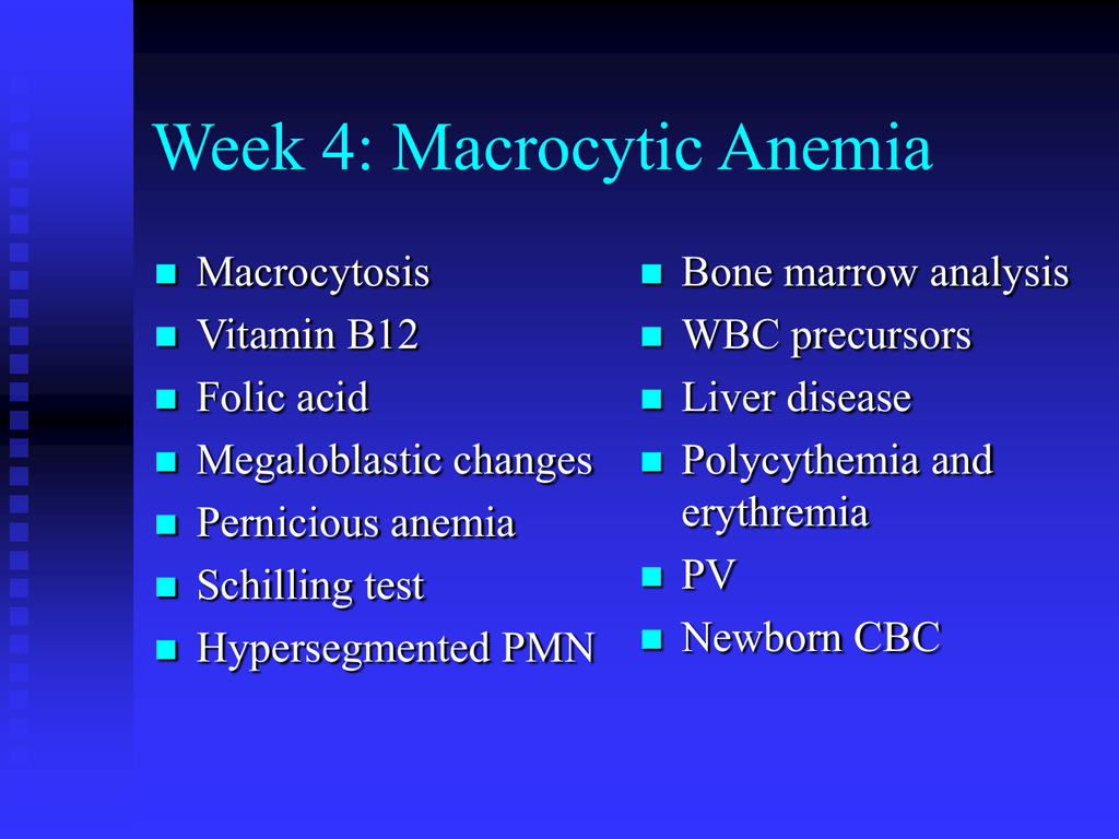 Macrocytic Anemia Causes Symptoms Macrocytic Anemia T