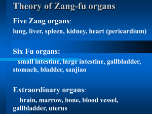 Theory of Zang