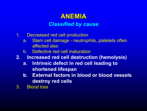 Increased red cell destruction (hemolysis)