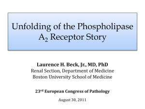PPT / 13904 KB - Nephropathology Working Group