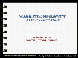 Normal Fetal Development – Dr. Huda