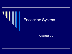 Endocrine system - FEEDBACK LOOPS