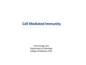 lecture3-Cell Mediated Immunity (2014)