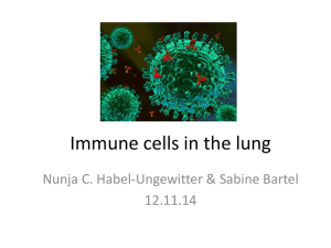 Immune cells in the lung - Lungeninformationsdienst