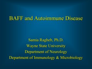 BAFF and autoimmune disease – S. Ragheb