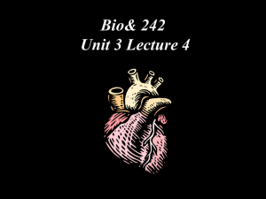 Bio 242 Unit 3 Lecture 4 PP