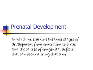 4 Prenatal Development