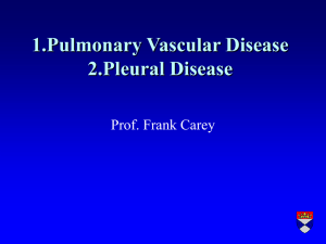 Lecture 3 Vascular and Pleural