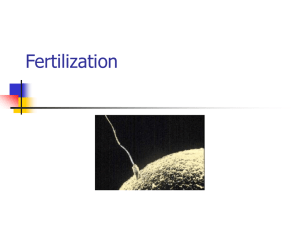 Fertilization and EarlyEmbryo Development