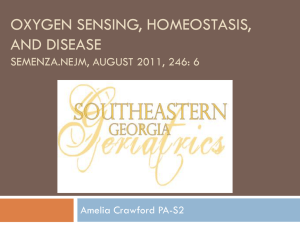 Oxygen Sensing, Homeostasis, and Disease NEJM. August 2011