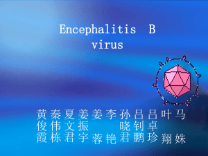 Encephalitis B virus