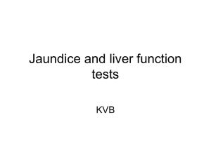 Jaundice and liver function tests