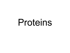 Chapter_4_Proteins