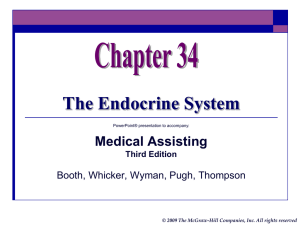 Chapter_34_The_Endocrine_System